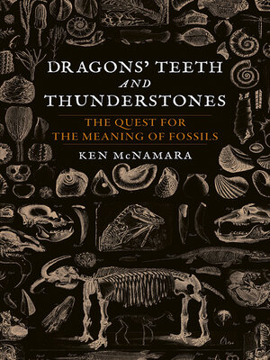 cover image of Dragons' Teeth and Thunderstones